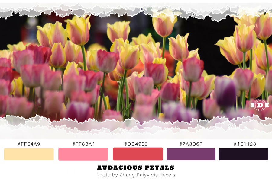 Picture of Tulips with a color palette